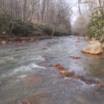 muddy creek